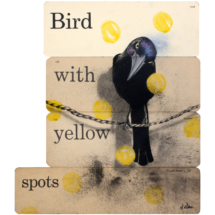 Heidi Pitre charcoal drawing of a bird on a string on vintage ephemera school flash cards. bird with yellow spots