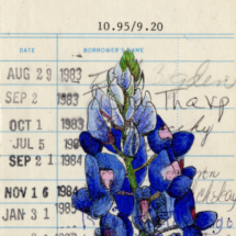 Heidi Pitre illustrates the texas bluebonnet on an oversized canvas print on a vintage library card