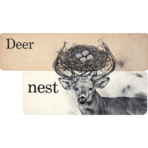 Deer Nest