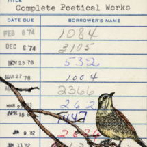 Heidi Pitre watercolor drawing of a bird on a branch for Elizabeth browning poetical works. gifts for librarians and book lovers.
