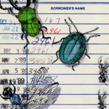 Heidi Pitre watercolor illustration of the book of bugs on vintage library card. gifts for librarians and book lovers.
